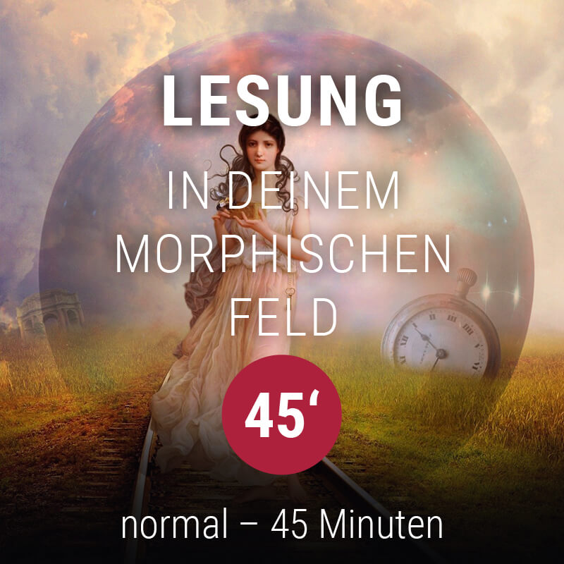 Lesung im morphischen Feld, Akasha Chronik Lesung, Lesung im Bewusstseinsfeld - 45 Minuten