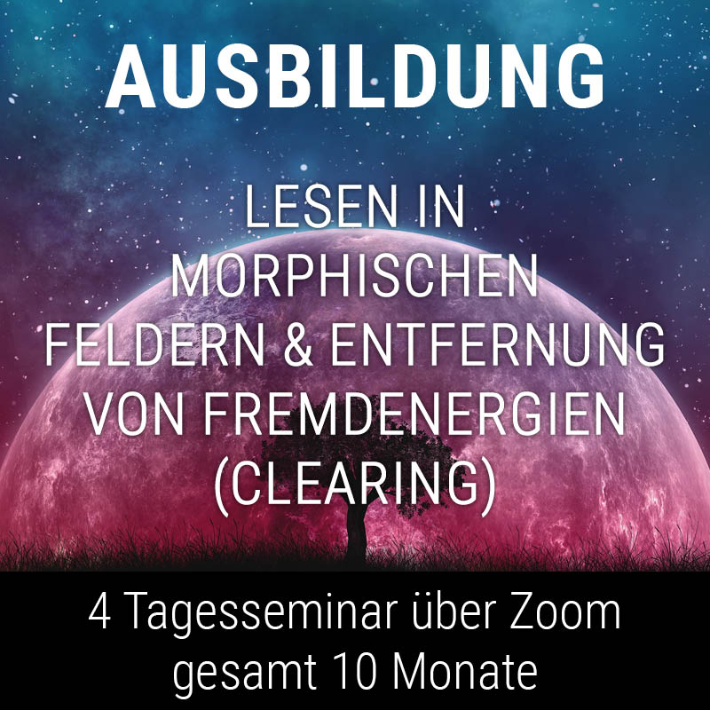 Ausbildung Lesen im morphischen Feld und Entfernung von Fremdenergien (Clearing)